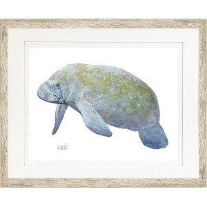KS- MANATEE 4